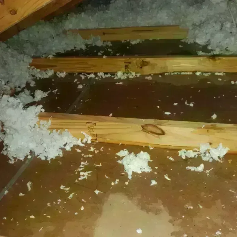 Attic Water Damage in Grayson County, KY